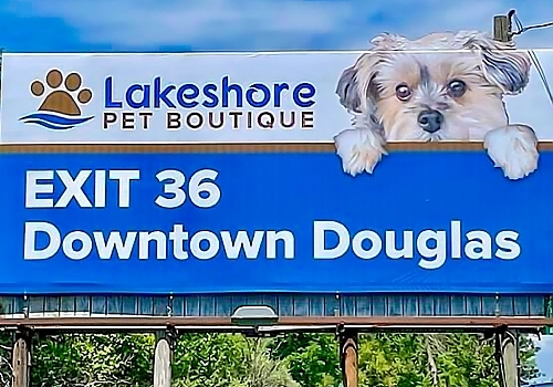 BillboardAdvertisementforLakeShorePetBotique