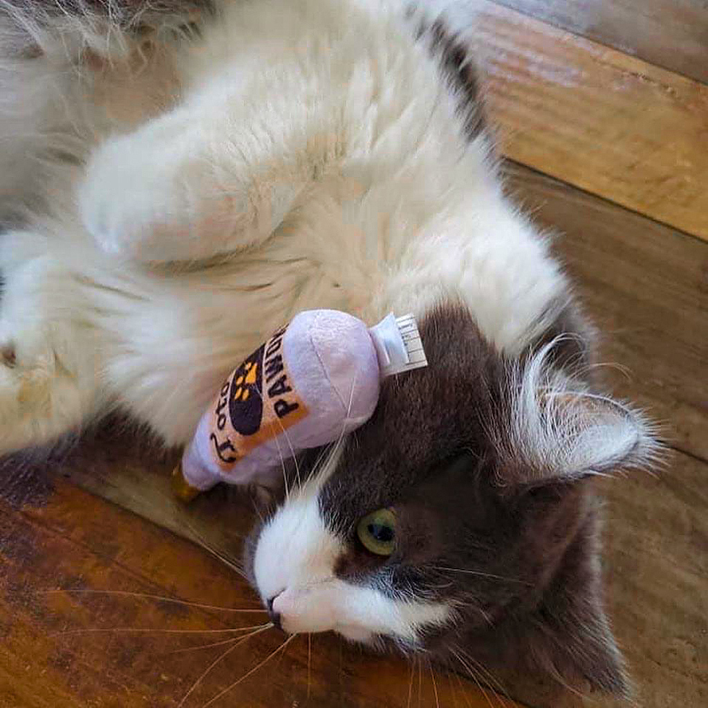 CatWithaToy