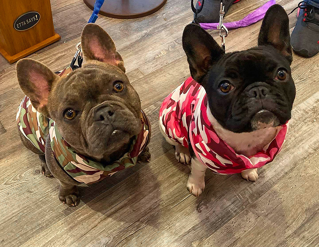 twopugs